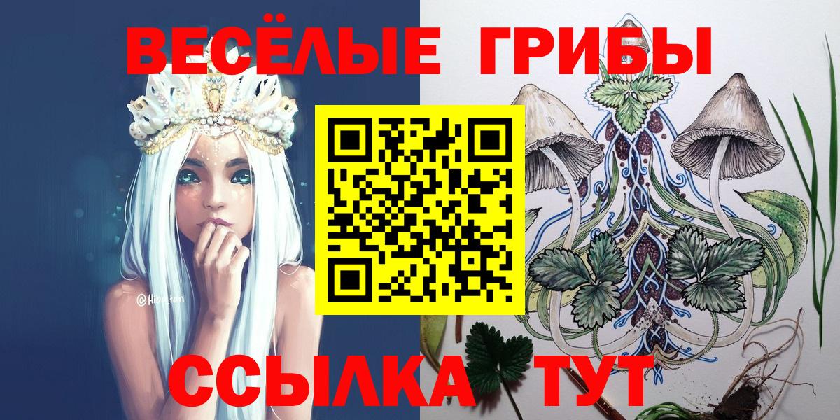 Псилоцибиновые грибы ЛСД  Вход с VPN  Благовещенск  Галлюциногенные грибы ЛСД 