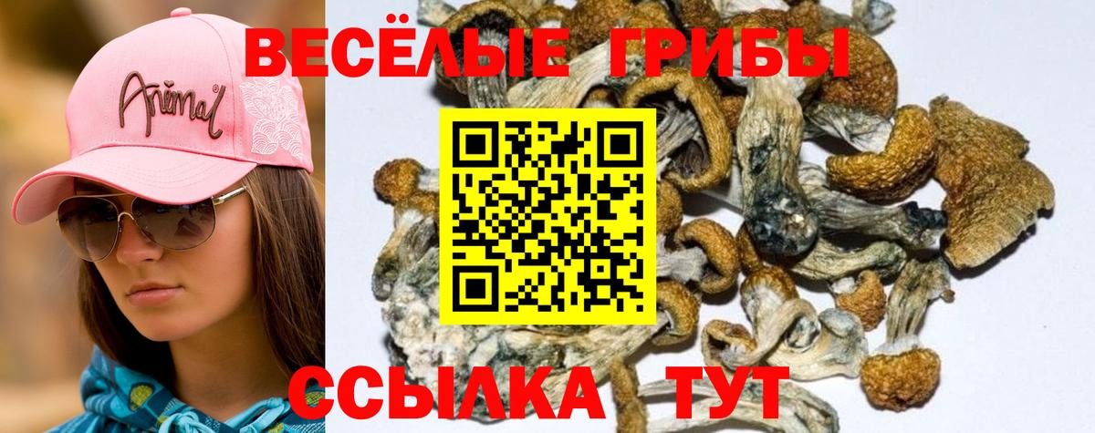Галлюциногенные грибы ЛСД Благовещенск